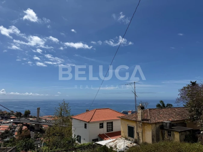 Moradia T3 para Venda em Monte Foto 4