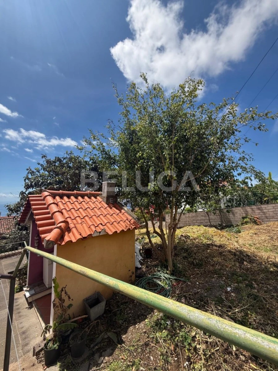 Moradia T3 para Venda em Monte Foto 22