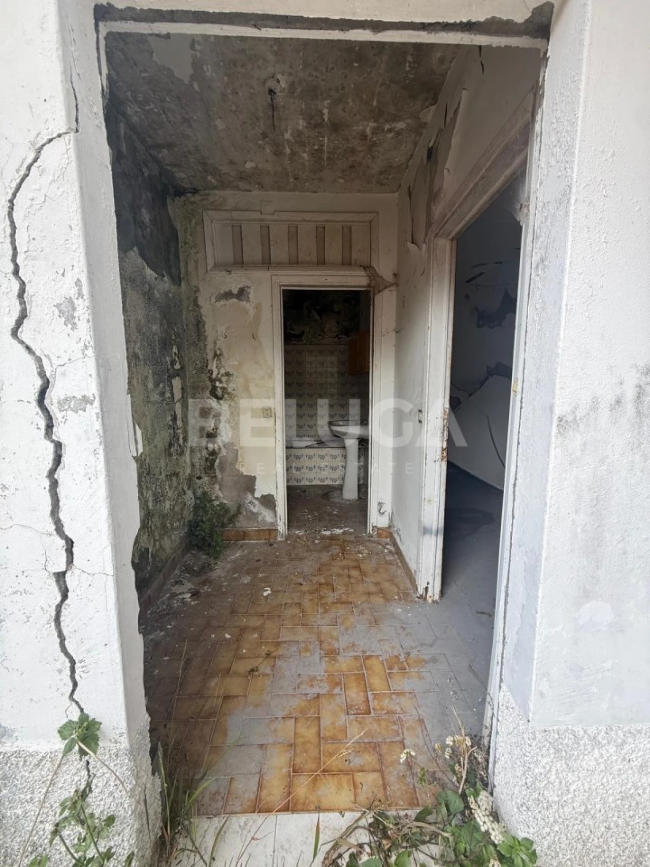 Moradia T3 para Venda em Santo Antonio Foto 12