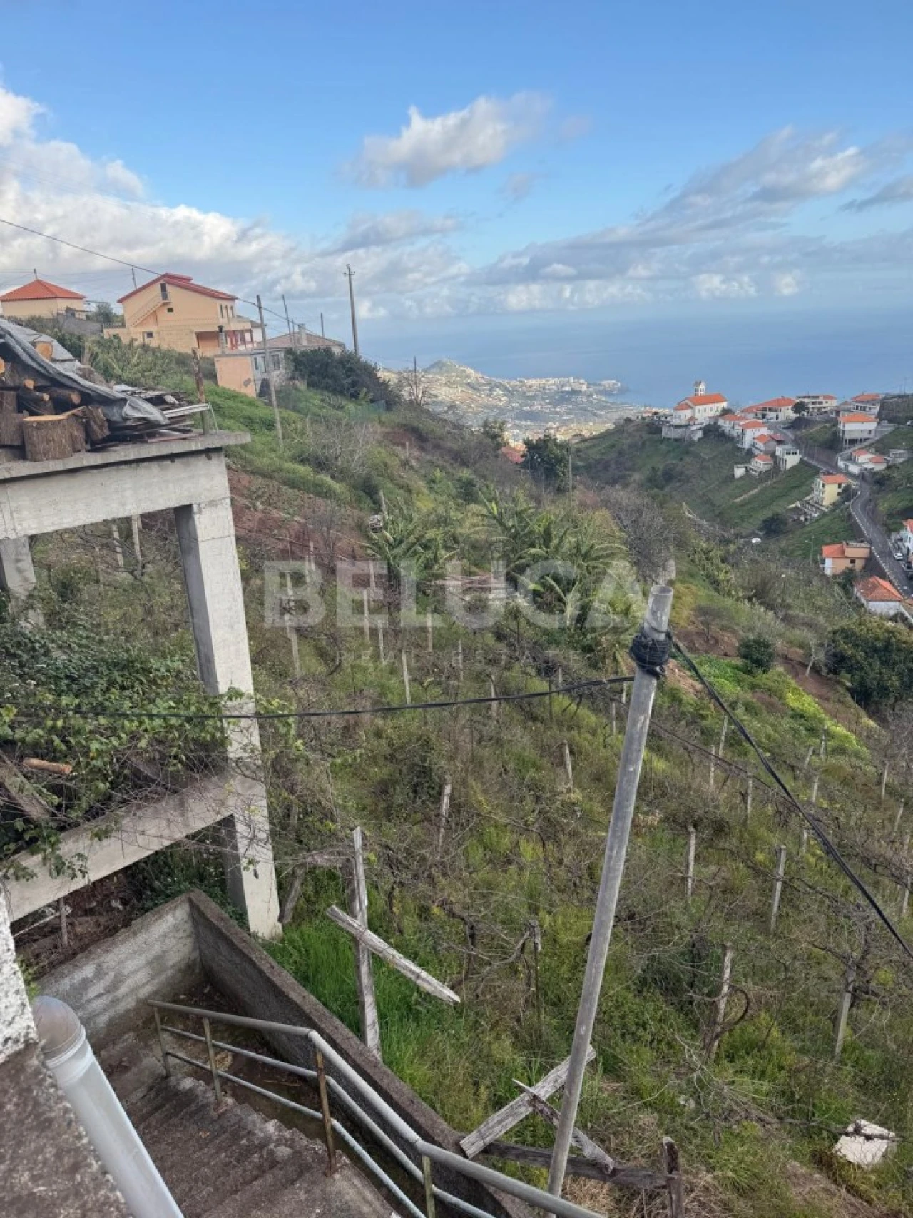 Terreno para Venda em Camara de Lobos Foto 6