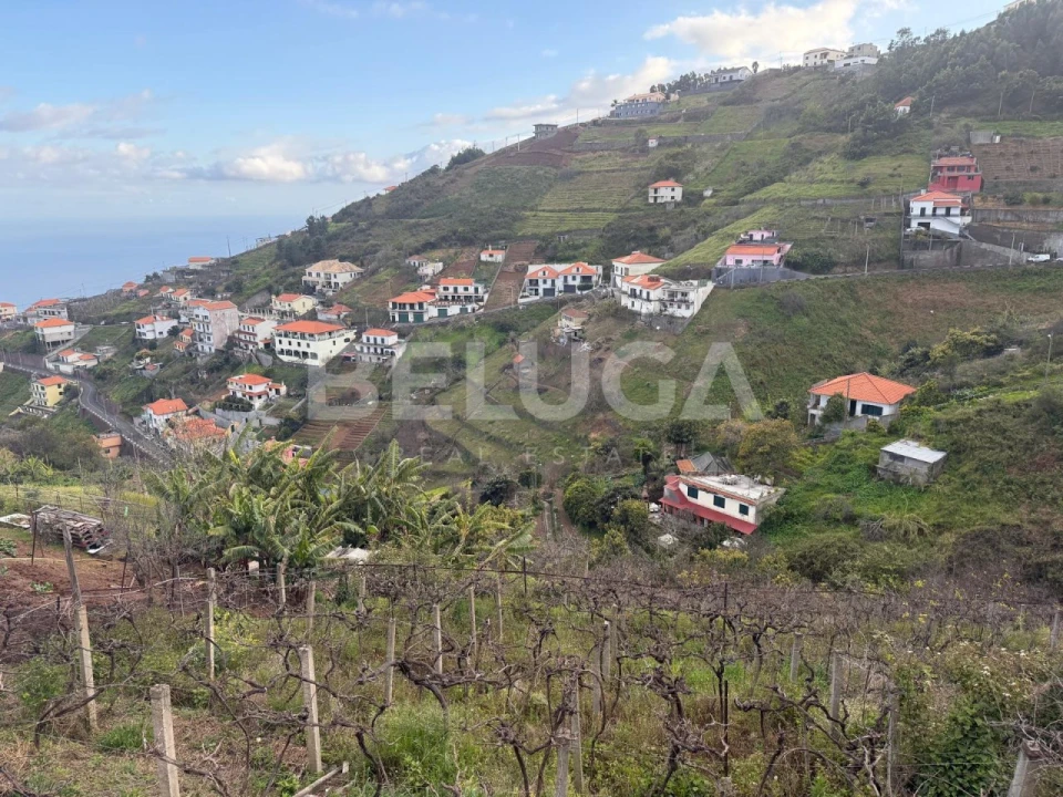 Terreno para Venda em Camara de Lobos Foto 10