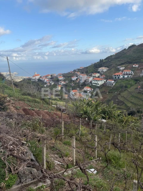 Terreno para Venda em Camara de Lobos