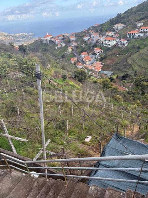 Terreno para Venda em Camara de Lobos