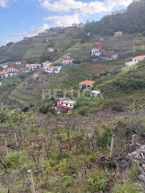 Terreno para Venda em Camara de Lobos