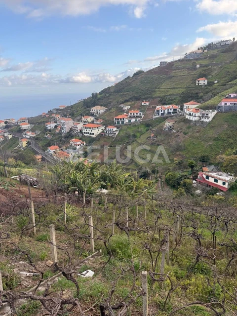 Terreno para Venda em Camara de Lobos