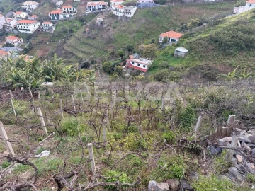 Terreno para Venda em Camara de Lobos