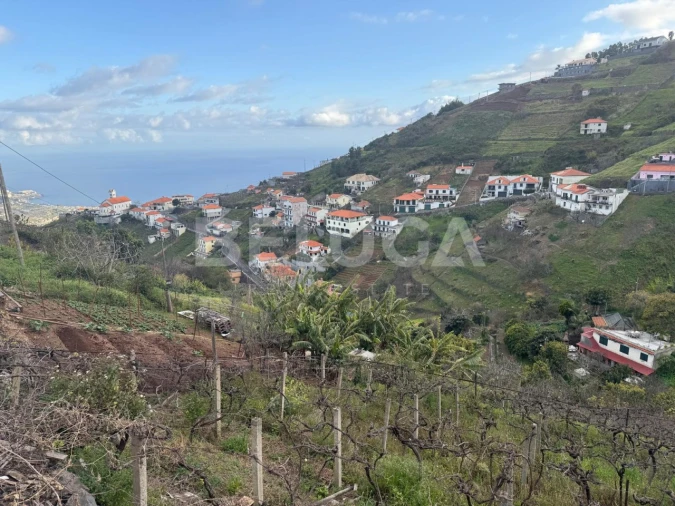 Terreno para Venda em Camara de Lobos Foto 9