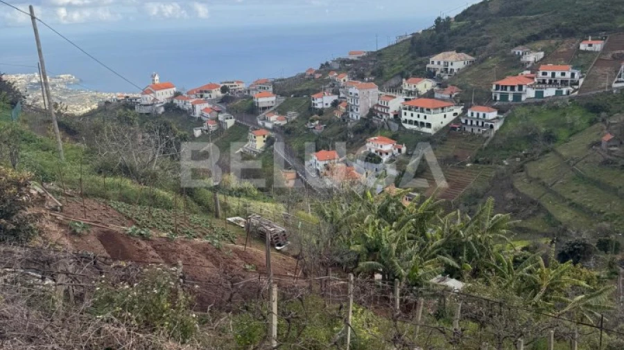Terreno para Venda em Camara de Lobos