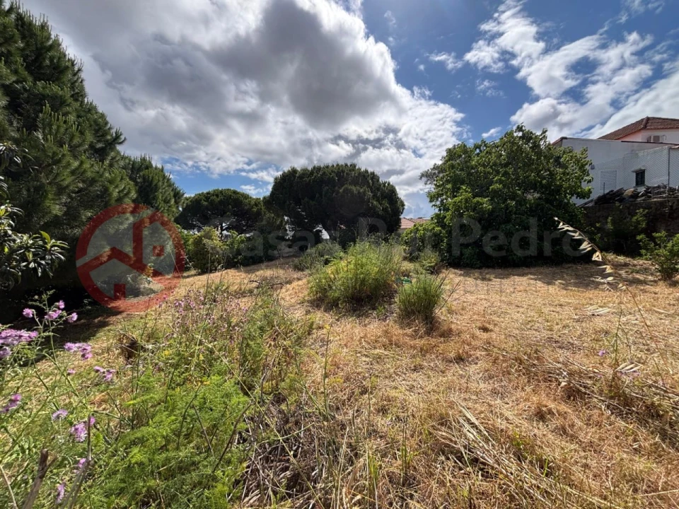 Terreno para Venda em Charneca de Caparica e Sobreda Foto 2