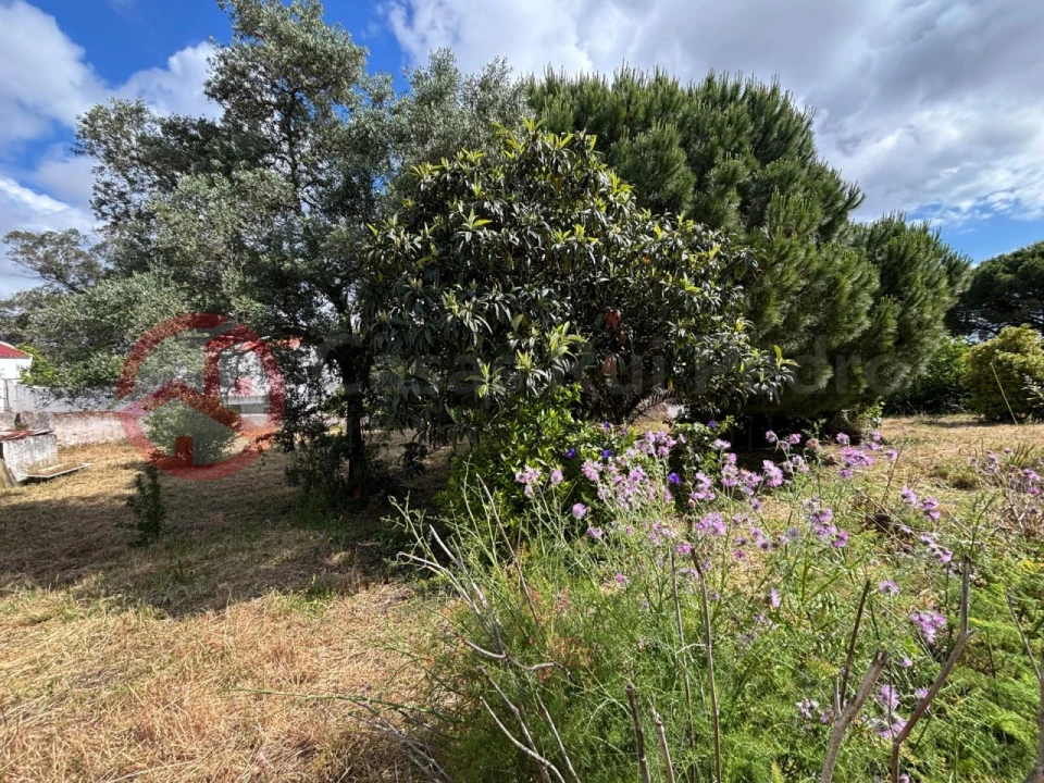 Terreno para Venda em Charneca de Caparica e Sobreda Foto 4