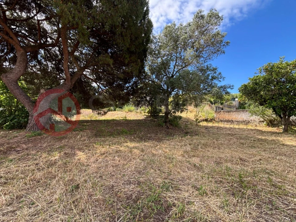 Terreno para Venda em Charneca de Caparica e Sobreda Foto 11