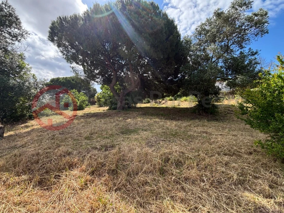Terreno para Venda em Charneca de Caparica e Sobreda Foto 12
