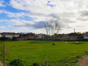 Terreno para Venda em Arazede