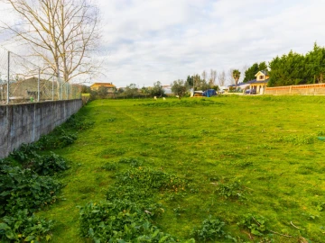 Terreno para Venda em Arazede