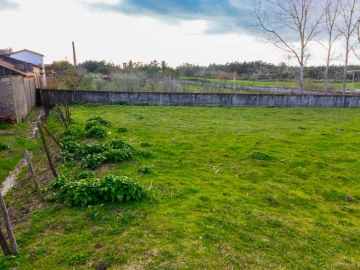 Terreno para Venda em Arazede