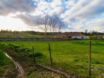 Terreno para Venda em Arazede