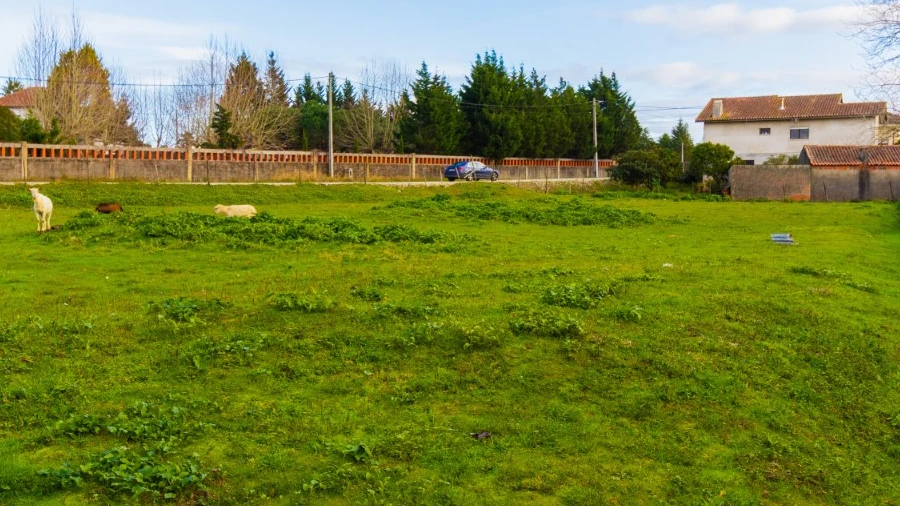 Terreno para Venda em Arazede