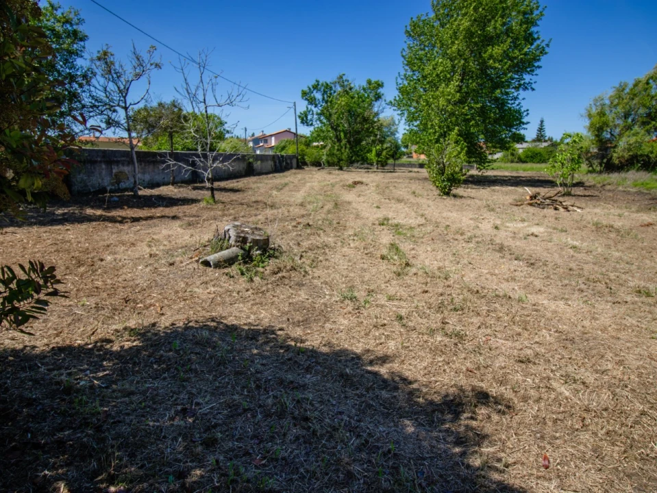 Terreno para Venda em Mira Foto 3