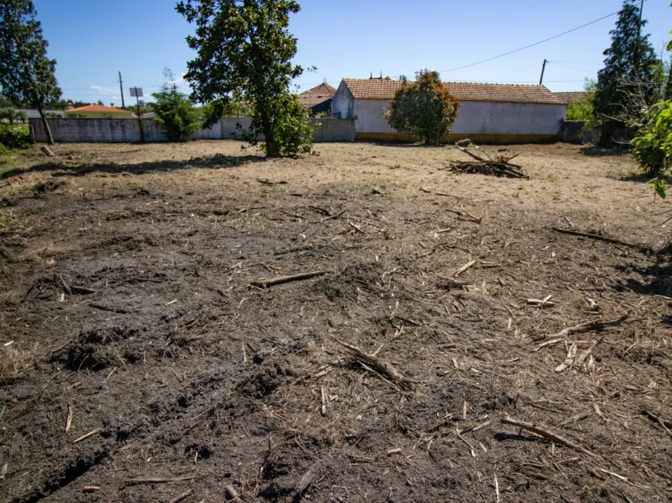 Terreno para Venda em Mira Foto 6