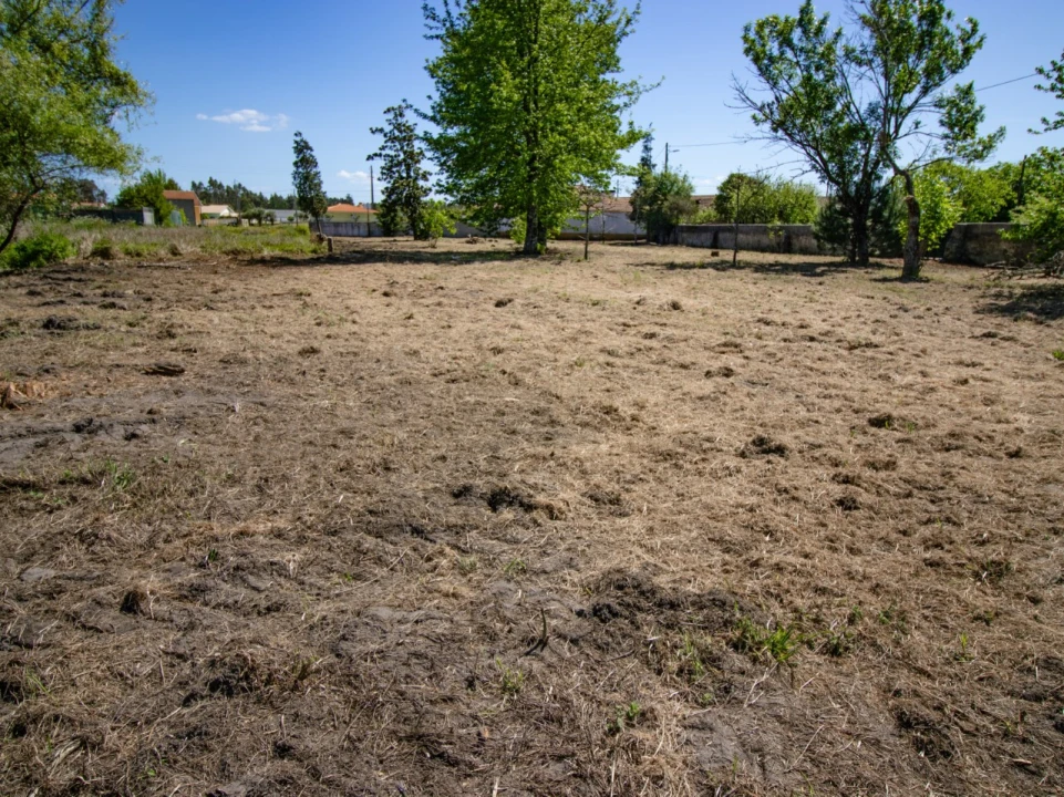 Terreno para Venda em Mira Foto 1