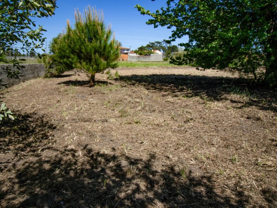Terreno para Venda em Mira Foto 13