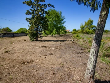 Terreno para Venda em Mira