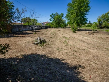 Terreno para Venda em Mira