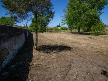 Terreno para Venda em Mira