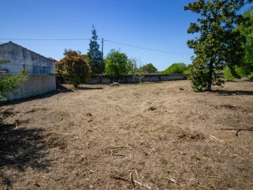 Terreno para Venda em Mira