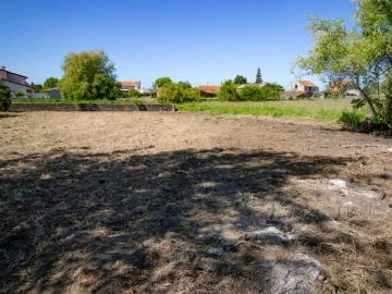 Terreno para Venda em Mira