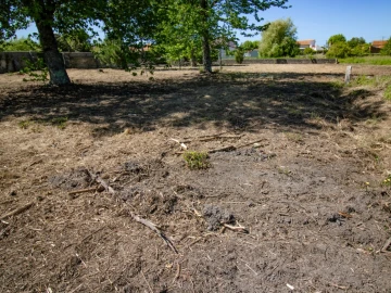 Terreno para Venda em Mira