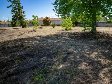 Terreno para Venda em Mira