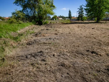 Terreno para Venda em Mira
