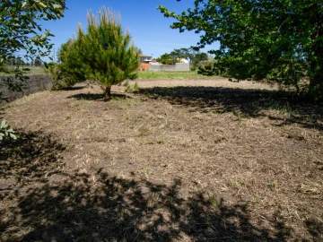 Terreno para Venda em Mira