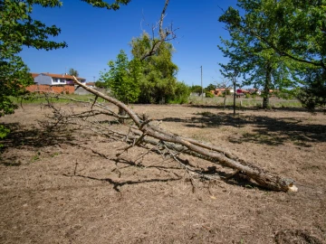 Terreno para Venda em Mira