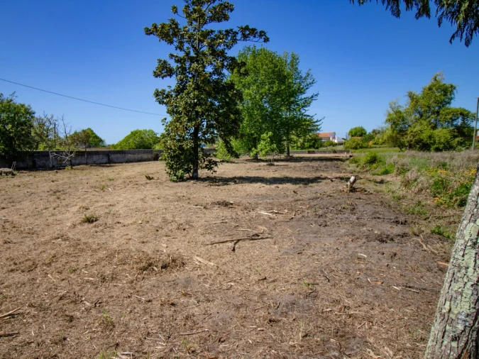 Terreno para Venda em Mira Foto 7