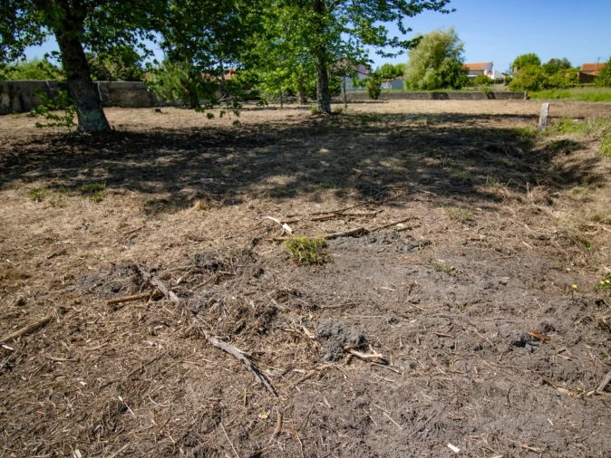 Terreno para Venda em Mira Foto 9
