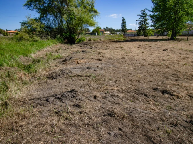 Terreno para Venda em Mira Foto 11