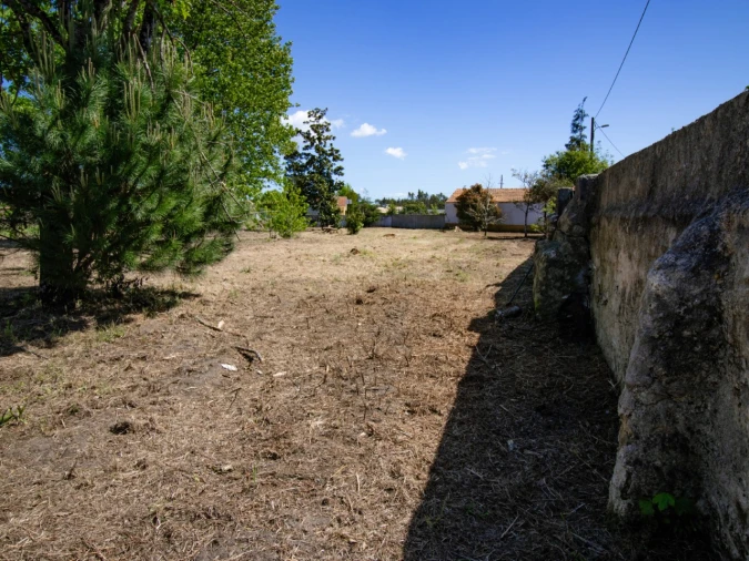 Terreno para Venda em Mira Foto 14