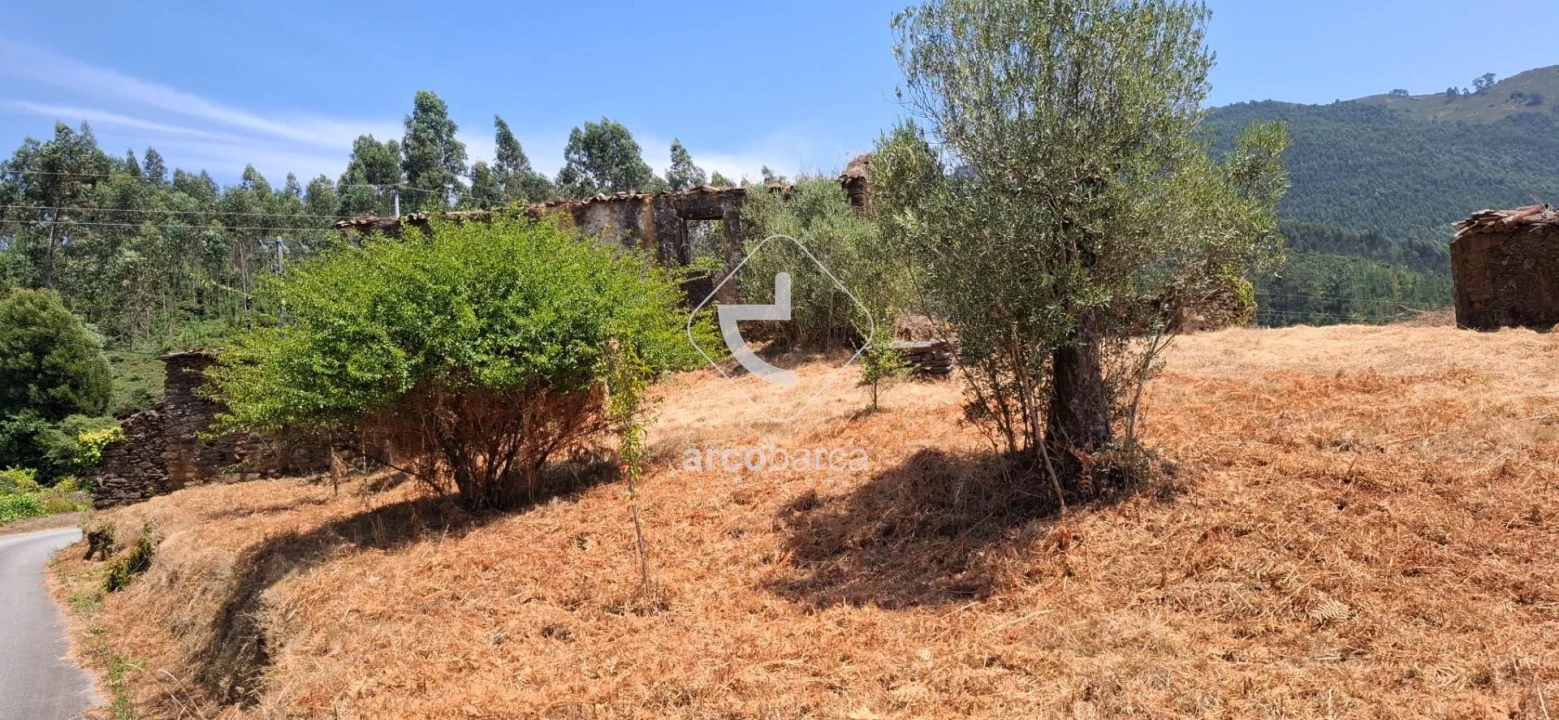 Quinta T5 para Venda em Cabração e Moreira do Lima Foto 17