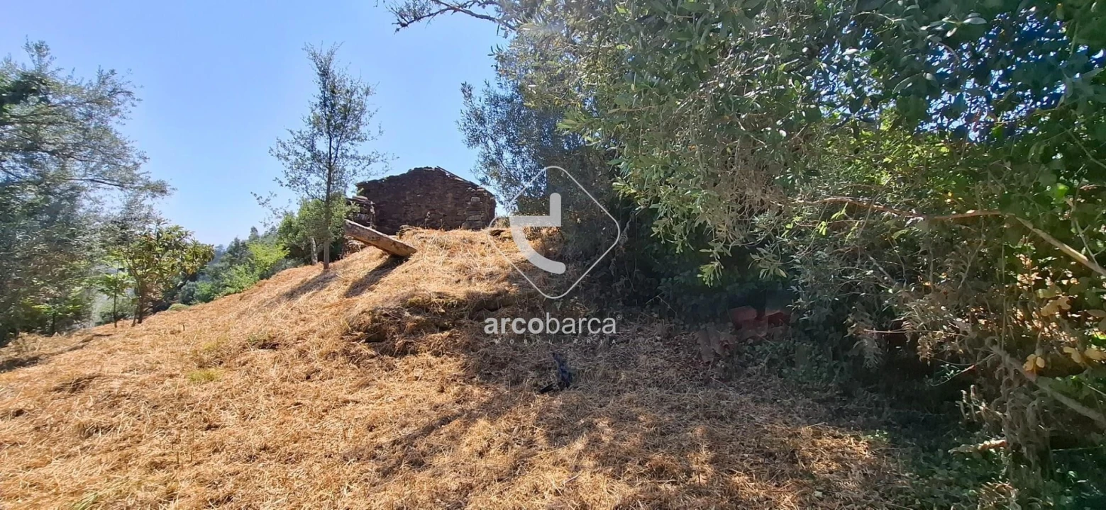 Quinta T5 para Venda em Cabração e Moreira do Lima Foto 28