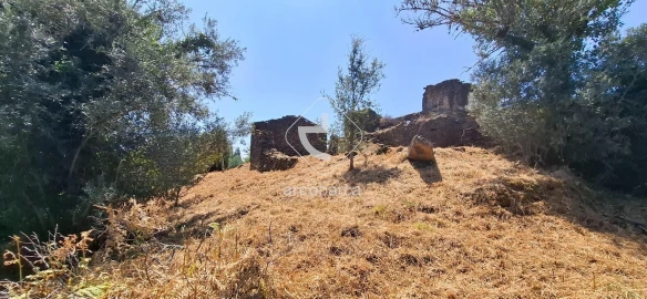 Quinta T5 para Venda em Cabração e Moreira do Lima