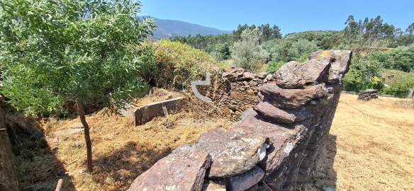 Quinta T5 para Venda em Cabração e Moreira do Lima