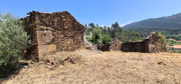 Quinta T5 para Venda em Cabração e Moreira do Lima