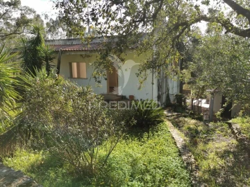 Terreno para Venda em São João Baptista e Santa Maria dos Olivais