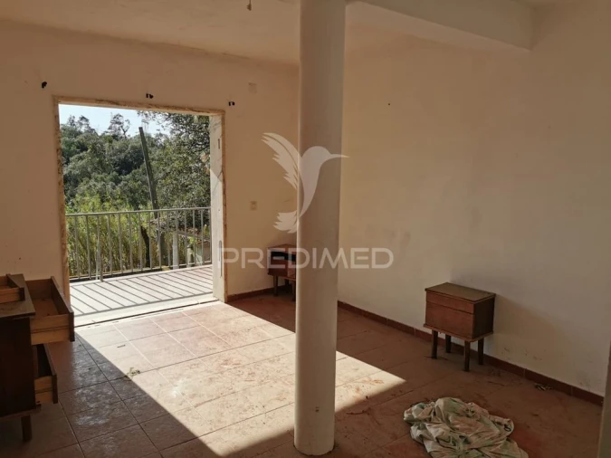 Terreno para Venda em São João Baptista e Santa Maria dos Olivais Foto 4