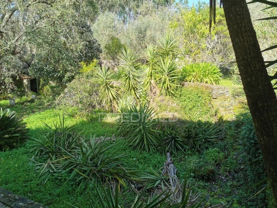 Terreno para Venda em São João Baptista e Santa Maria dos Olivais Foto 1