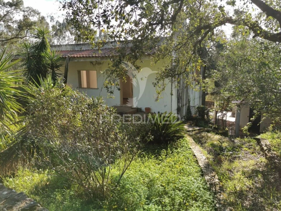 Terreno para Venda em São João Baptista e Santa Maria dos Olivais Foto 3