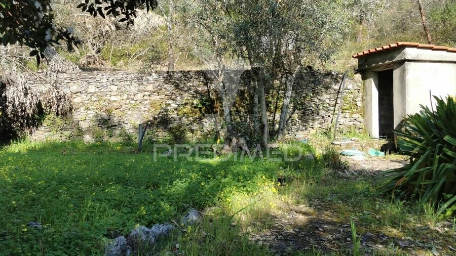 Terreno para Venda em São João Baptista e Santa Maria dos Olivais