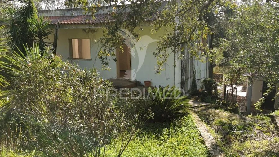 Terreno para Venda em São João Baptista e Santa Maria dos Olivais